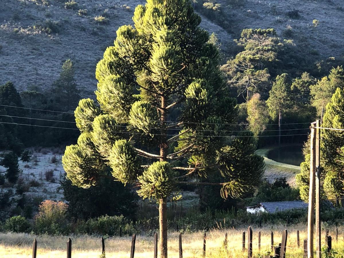 Pousada Pedra Da Mata Chales Na Montanha Munhoz Exteriér fotografie
