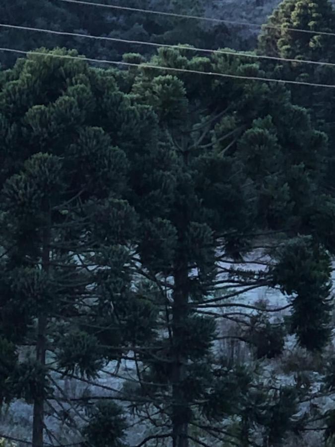 Pousada Pedra Da Mata Chales Na Montanha Munhoz Exteriér fotografie